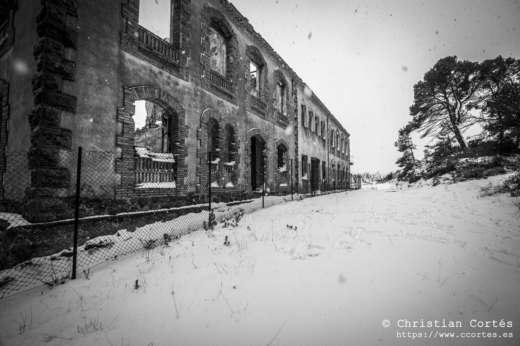 Nieve en Alicante 07